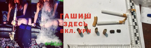 прущие грибы Нефтегорск