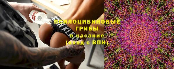 кокс Нея