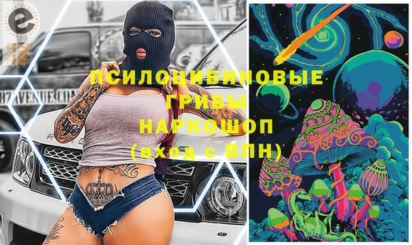 прущие грибы Нефтегорск
