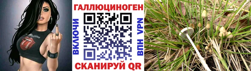 Галлюциногенные грибы Psilocybe  купить  цена  Сарапул 